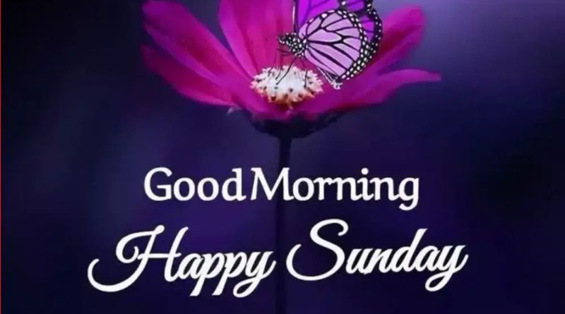 Happy Sunday Good Morning